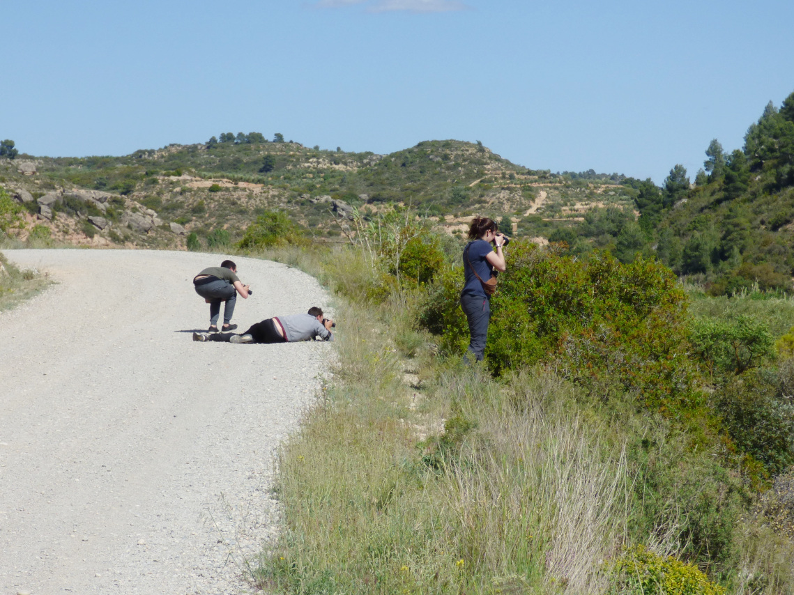 Parte de la excursión del Grupo Local SEO Barcelona a Estepas de Lleida 2019  en El Cogul, intentando fotografiar tórtolas.